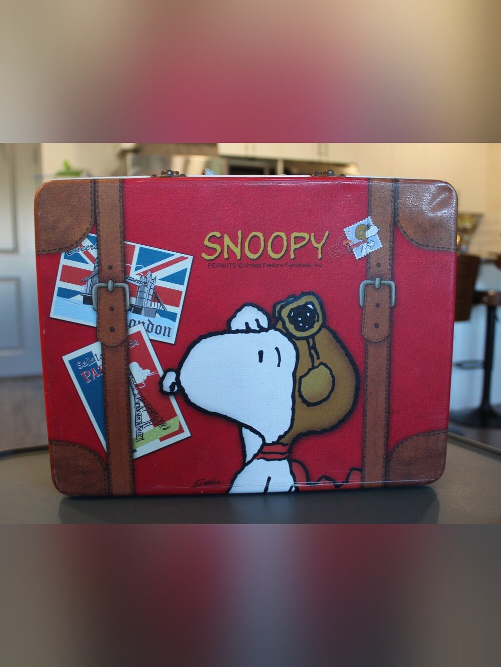 Snoopy Red Peanuts Vintage Box